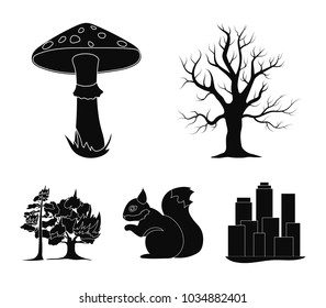 Dry tree, protein, poisonous fungus, wildfire.Forest set collection icons in black style vector symbol stock illustration web.
