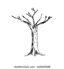 Dry tree silhouette