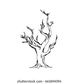 Dry tree silhouette