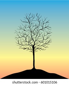  dry tree silhouette over sunset sky,
beautiful colors vector illustration