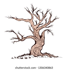 Dry Tree with Simple Color, Vector on White Background - Vector Illustration