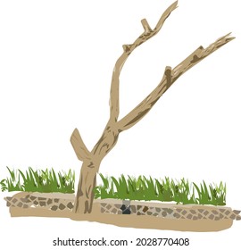 dry tree trunk vector illustration 