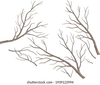 Dry Tree Vector isolated illustrations Design