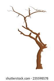 Dry Tree Wood