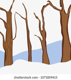 Dry trees on winter