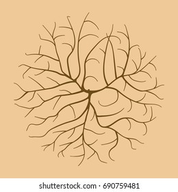 dry tumbleweed floral pattern