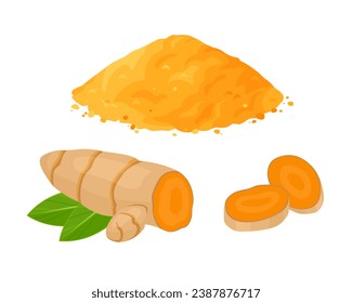 Dry turmeric powder heap, turmeric root whole and sliced  isolated on white. Vector cartoon flat illustration spicy spice seasoning. 