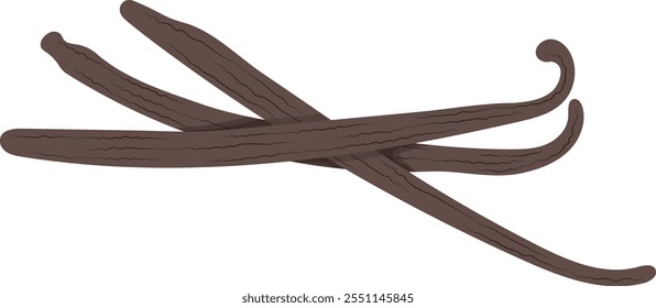 Dry Vanilla Pods Illustration Isolated on White Background