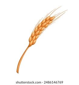 Dry wheat spikelet, cartoon grains with spikes on stalk. Single golden wheat or oat, barley ear from farm field, autumn cereal crop mascot, cartoon organic ripe plant of sheaf vector illustration