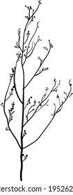 Dry winter twig in monochrome colors. Vector illustration of boho plants for your design. 