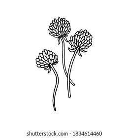 Dry winter twigs, flowers and berries. Black and white sketch. Hand drawn vector illustration.