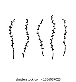 Dry winter twigs, flowers and berries. Black and white sketch. Hand drawn vector illustration.