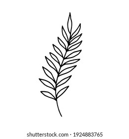 Dry winter twigs, flowers and berries. Black and white sketch. Hand drawn vector illustration.