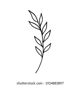 Dry winter twigs, flowers and berries. Black and white sketch. Hand drawn vector illustration.