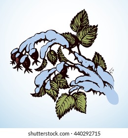 Dry wintry forest snow-capped eglantine isolated on white background. Freehand color hand drawn picture sketchy in art doodle retro style. Closeup view with space for text on grey sky
