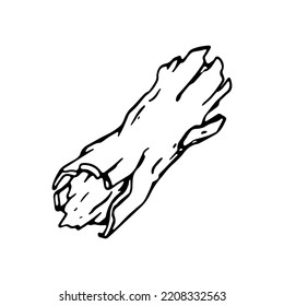 Dry wood in tattoo doodle style. Hand drawn stump illustration.