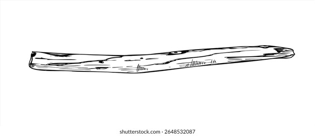 Dry wooden stick monochrome vector illustration painted by black inks. Decorative hand drawn old tree branch etching drawing for nature decor, craft projects, DIY design, eco friendly decoration.