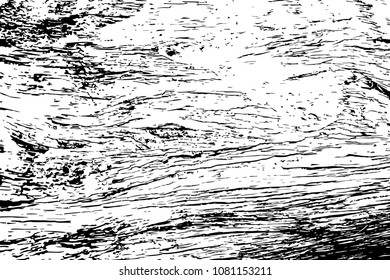 Dry wooden texture with structure line. Timber vector illustration on transparent background. Rough distressed wooden board texture. Rustic vector overlay vintage effect. Timber structure top view 