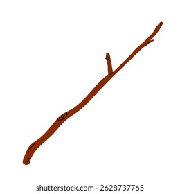 Ramo seco da árvore de madeira isolado no fundo branco. Ilustração de ramos de árvore seca. 
