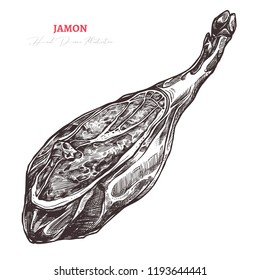 Dry-cured pork vector sketch illustration. Spanish jamon iberico or serrano isolated on white background in hand drawn engraving style. Farm meat product