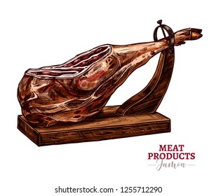 Dry-cured pork vector sketch illustration. Spanish jamon iberico or serrano on hamoneria isolated on white background in hand drawn engraving style. Farm meat product