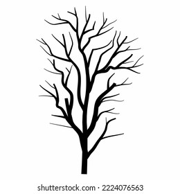 drying dead tree silhouette brach vector illustration 