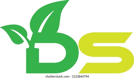 DS Creative Branding Logo Design