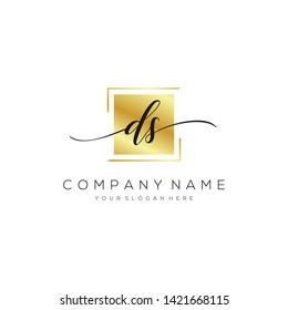 DS handwriting initial logo template vector.