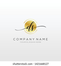 DS handwriting initial logo template vector.