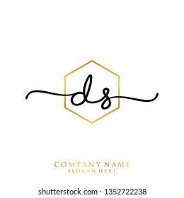 DS Initial handwriting logo template