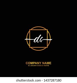 DS Initial handwriting logo template vector