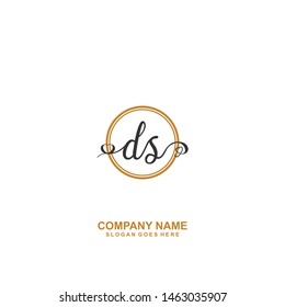 DS Initial handwriting logo vector