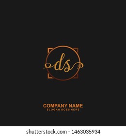 DS Initial handwriting logo vector
