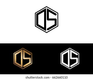 DS initial letters linked with hexagon shape logo


