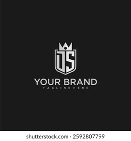 DS initial monogram shield and crown vector image