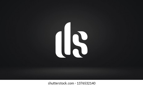 DS logo design template vector letter