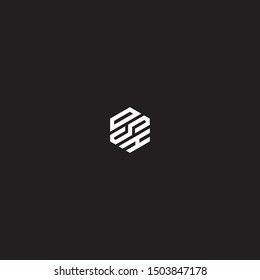 dsh initial hexagon logo templet vector
