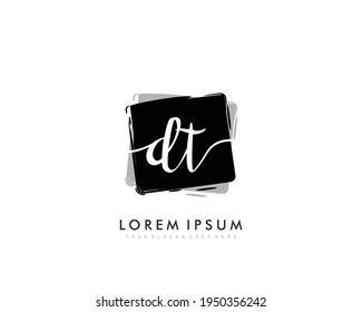 DT Logo inicial de belleza vector