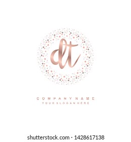 DT initial signature logo. handwriting logo template vector,