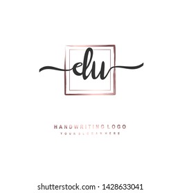 DU initial signature logo. handwriting logo template vector,