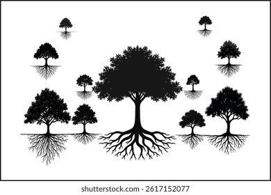 Nature’s Duality
Roots of Time
From Soil to Sky