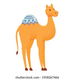 Dubai camel icon. Cartoon of Dubai camel vector icon for web design isolated on white background