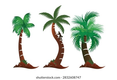 Dubai Palm and Coconut Date Tree Climber Vector Set