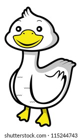 duck