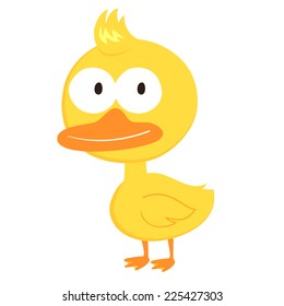 Duck
