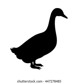 30,469 Duck silhouette vector Images, Stock Photos & Vectors | Shutterstock