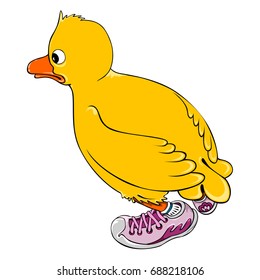 Duck. 