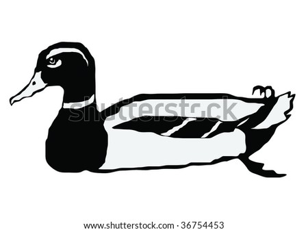 Duck Stock Vector (Royalty Free) 36754453 - Shutterstock