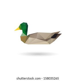 Duck abstract  isolated on a white backgrounds, vector illustration