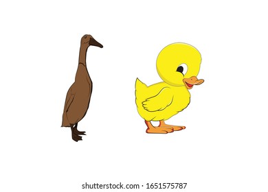 Duck Animal Cartoon Vector Illustration